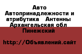 Авто Автопринадлежности и атрибутика - Антенны. Архангельская обл.,Пинежский 